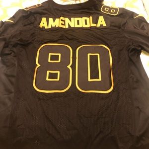Amendola Patriots Jersey
